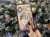 IMG_0007.jpeg